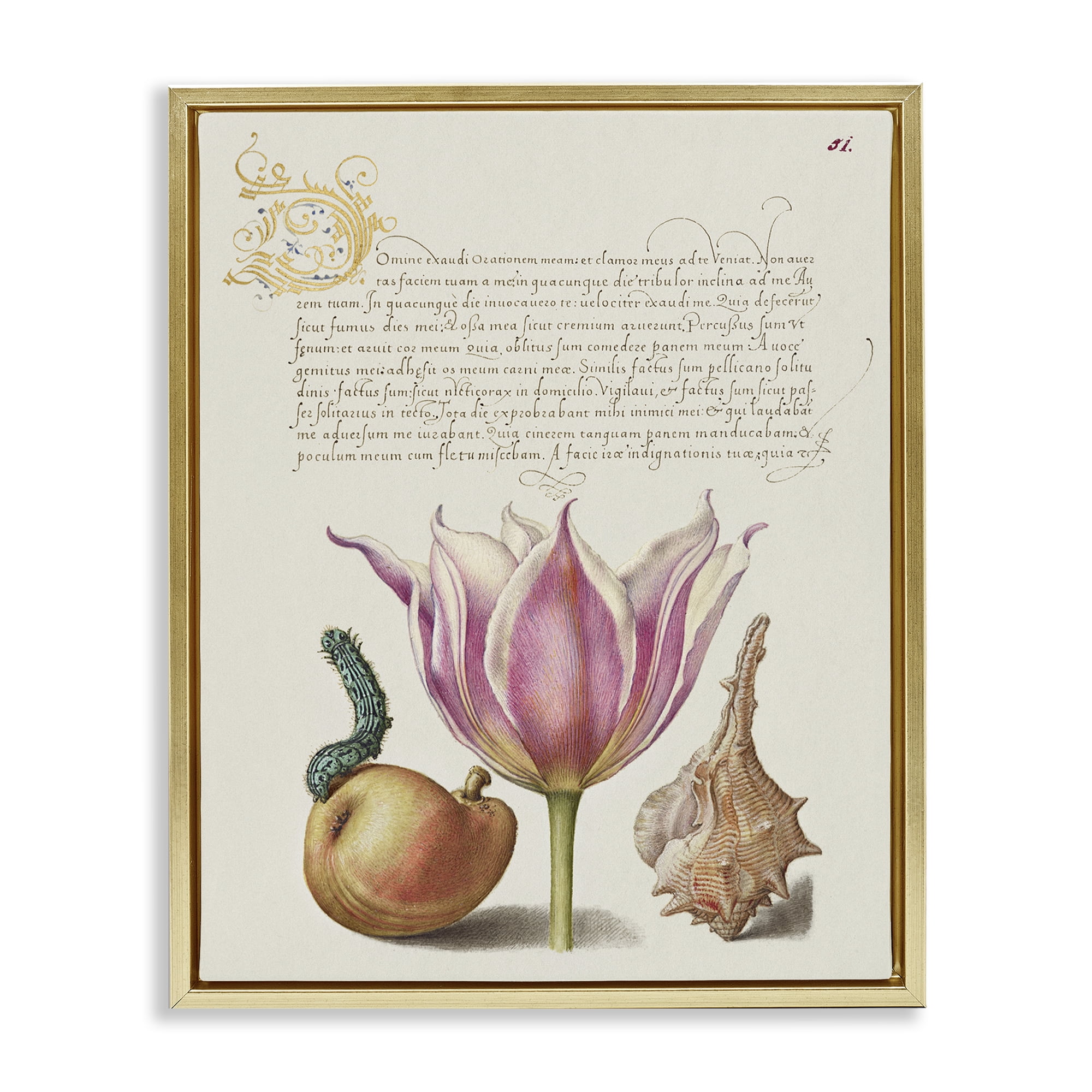 Stupell Industries Flower & Bug Study Page Text & Numbers Painting Gold Floater Framed Canvas Art Print Wall Art, 17 x 21