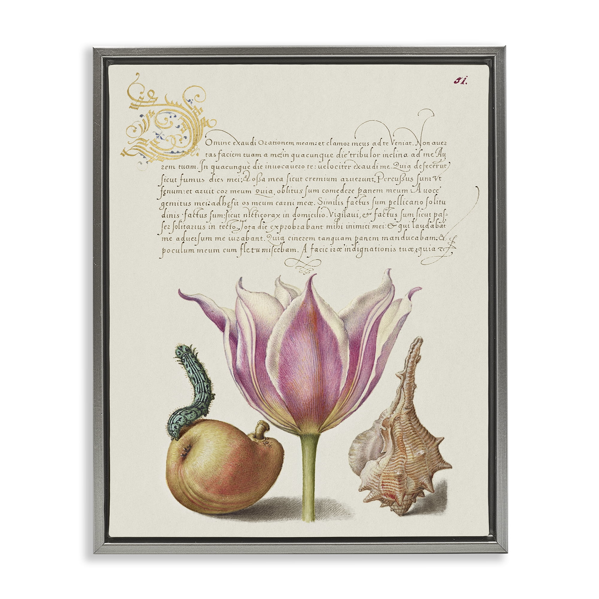 Stupell Industries Flower & Bug Study Page Text & Numbers Painting Gray Floater Framed Canvas Art Print Wall Art, 25 x 31
