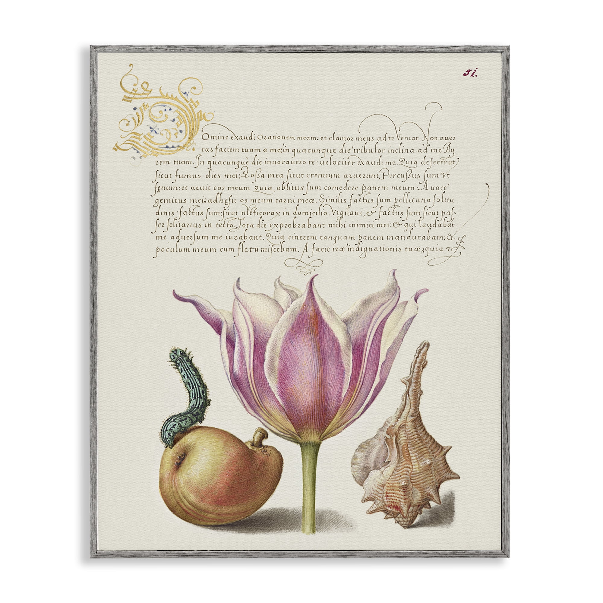 Stupell Industries Flower & Bug Study Page Text & Numbers Painting Gray Framed Art Print Wall Art, 24 x 30
