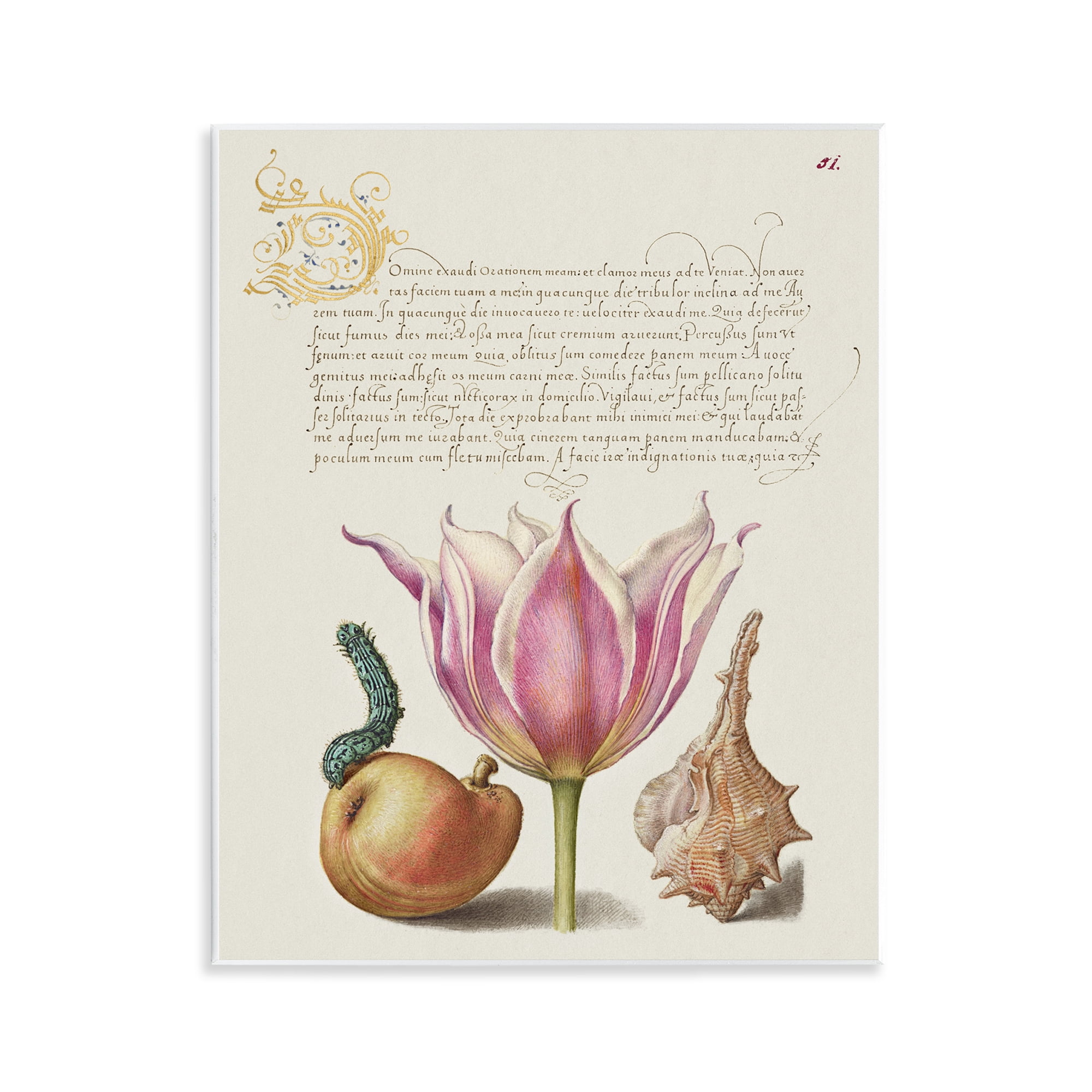 Stupell Industries Flower & Bug Study Page Text & Numbers Painting Unframed Art Print Wall Art, 11 x 14