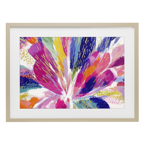 Stupell Industries Modern Flower Burst in Vibrant Tones Birch Framed Print Under Glass, 23 x 17, by Chromatic Storm Studio
