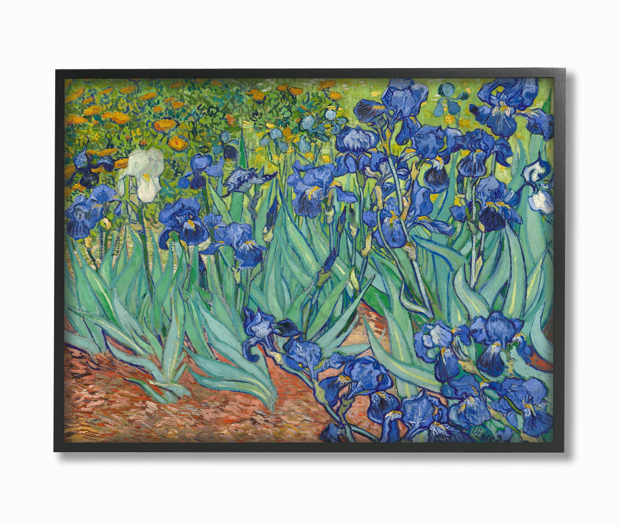 Stupell Industries Flower Field Blue Green Van Gogh Classical Painting
