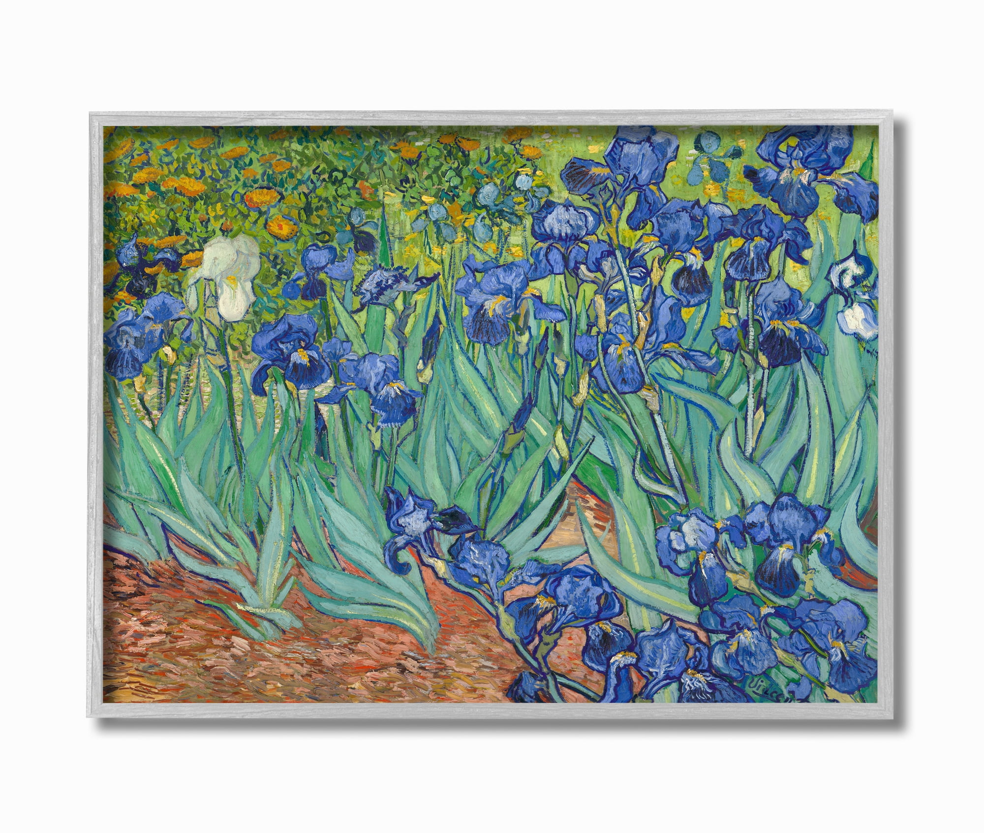 Stupell Industries Flower Field Blue Green Van Gogh Classical Painting Framed Wall Art by Vincent Van Gogh