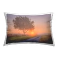 thumbnail image 1 of Stupell Industries Flower Lined Path Decorative Printed Throw Pillow Design by Marty Hulsebos., 1 of 6