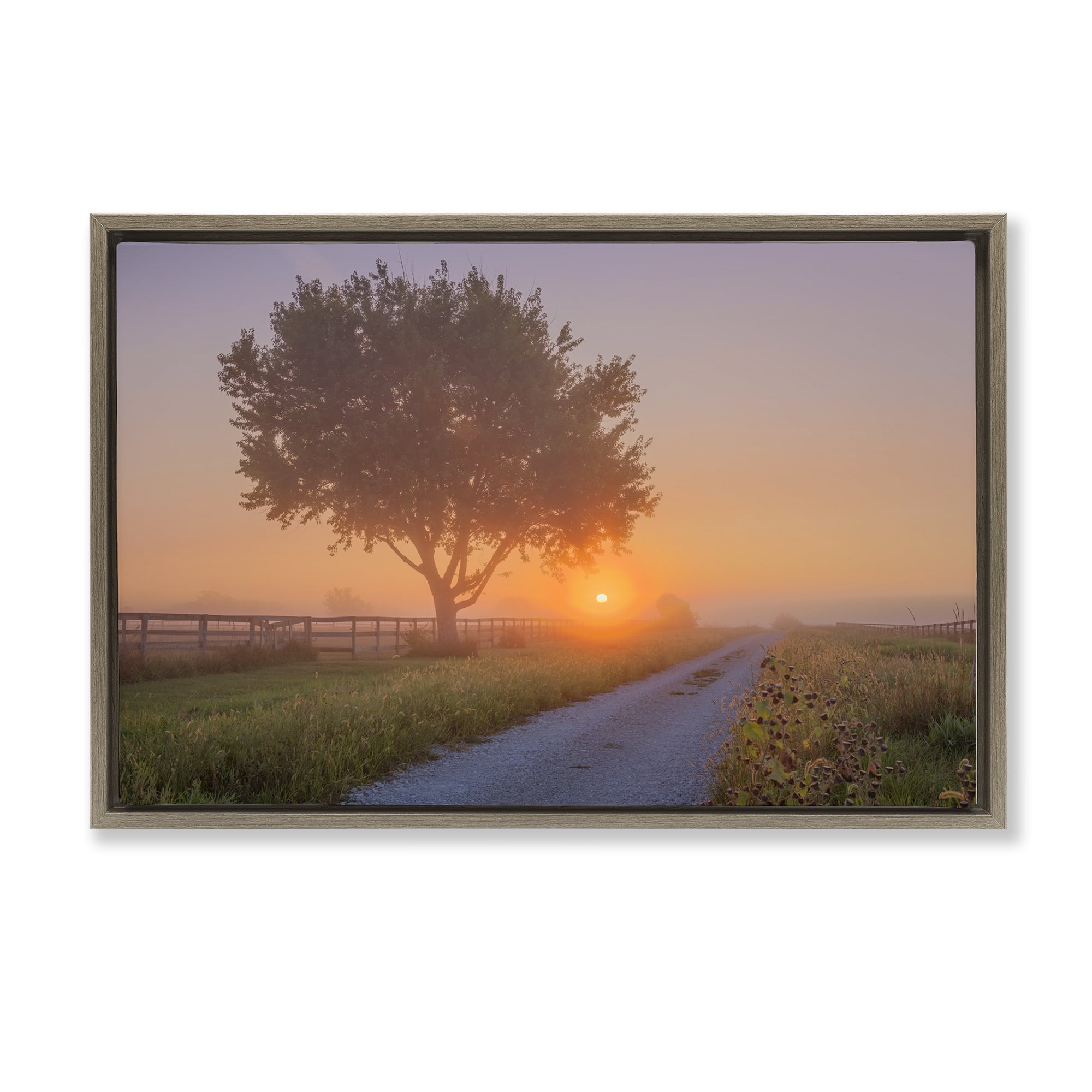 Stupell Industries Flower Lined Path Landscape & Nature Photography Brown Floater Framed Canvas Art Print Wall Art, 31 x 21
