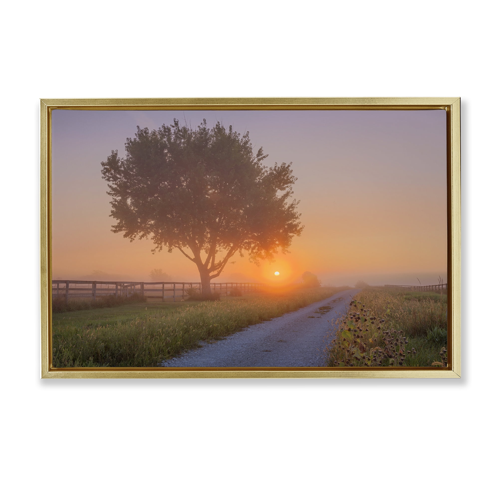 Stupell Industries Flower Lined Path Landscape & Nature Photography Gold Floater Framed Canvas Art Print Wall Art, 25 x 17