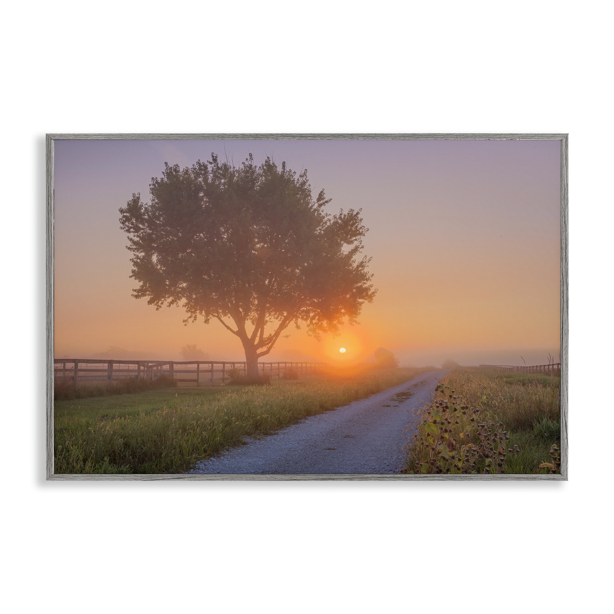Stupell Industries Flower Lined Path Landscape & Nature Photography Gray Framed Art Print Wall Art, 24 x 16