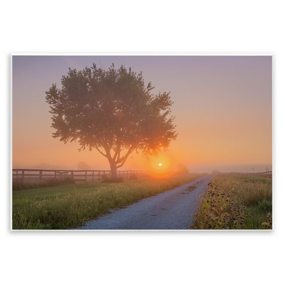 Stupell Industries Flower Lined Path Landscape & Nature Photography Unframed Art Print Wall Art, 15 x 10