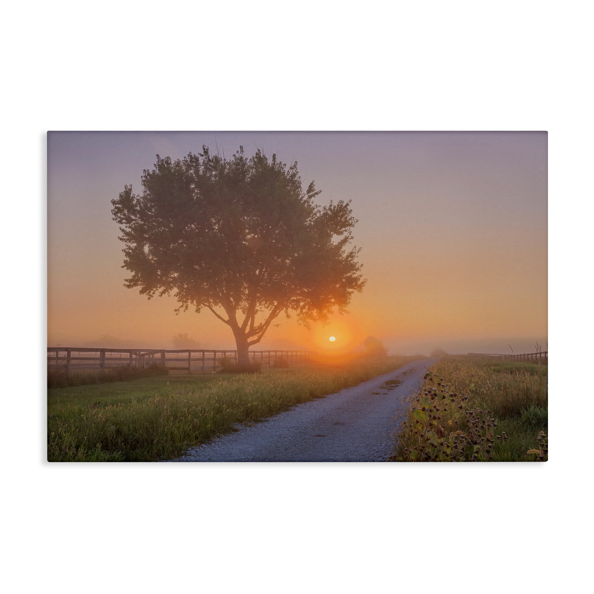 Stupell Industries Flower Lined Path Landscape & Nature Photography Wrapped Canvas Art Print Wall Art, 36 x 24