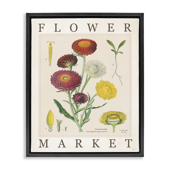 Stupell Industries Flower Market Vintage Chart Floral Painting Black Floater Framed Canvas Art Print Wall Art, 17 x 21