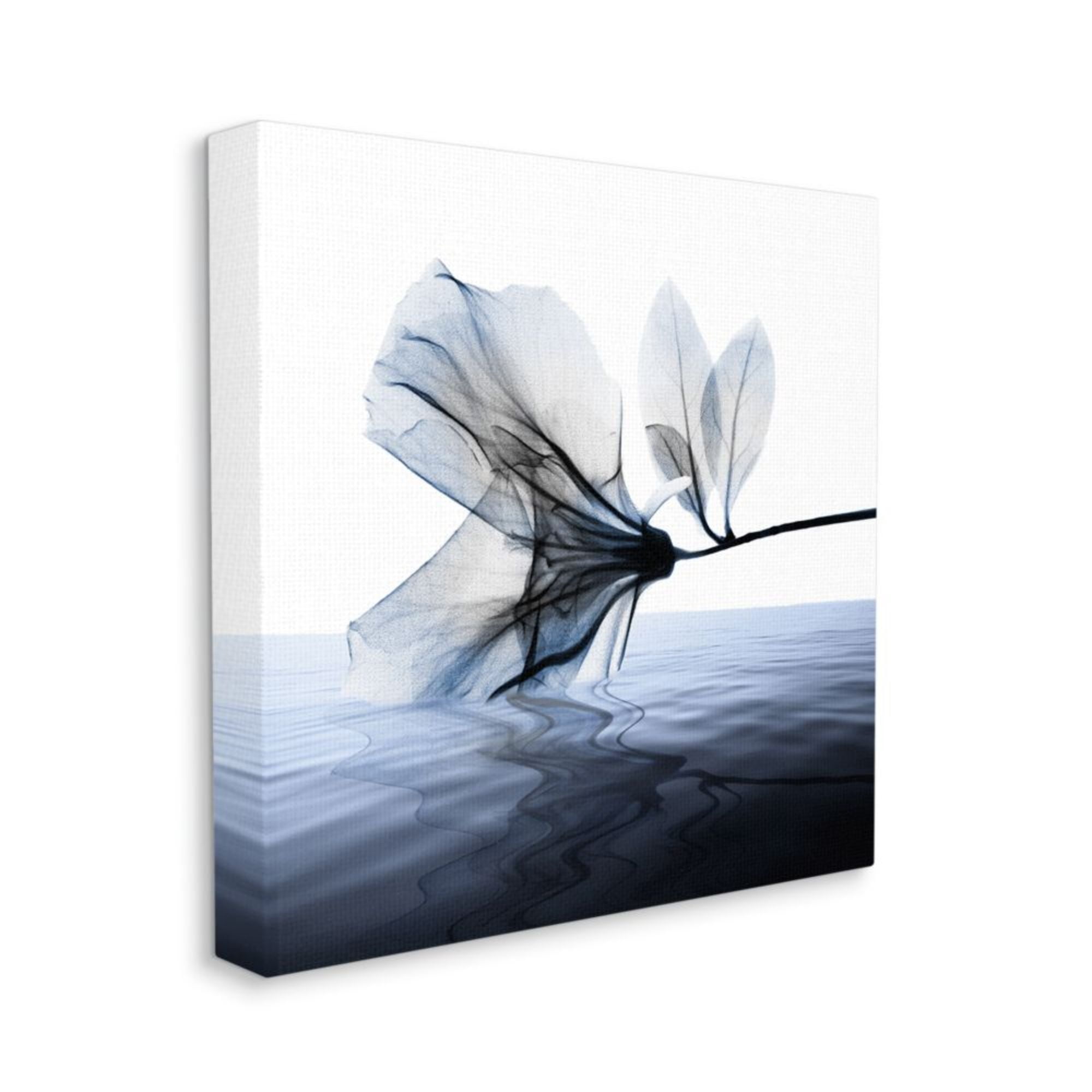 Stupell Industries Flower Petals Touching Water Blue White Photograph Design by Albert Koetsier, 24" x 24"
