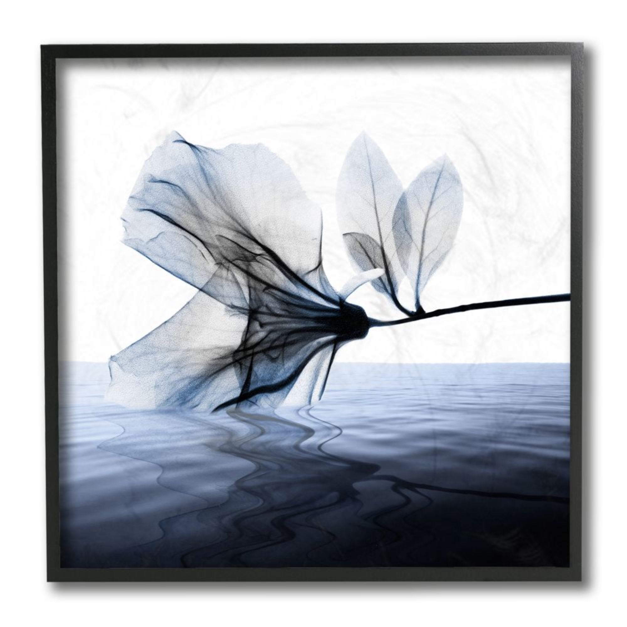 Stupell Industries Flower Petals Touching Water Blue White Photograph Design by Albert Koetsier