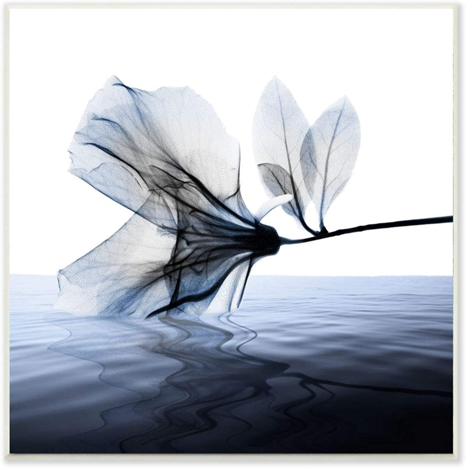 Stupell Industries Flower Petals Touching Water Blue White Photograph Design by Albert Koetsier