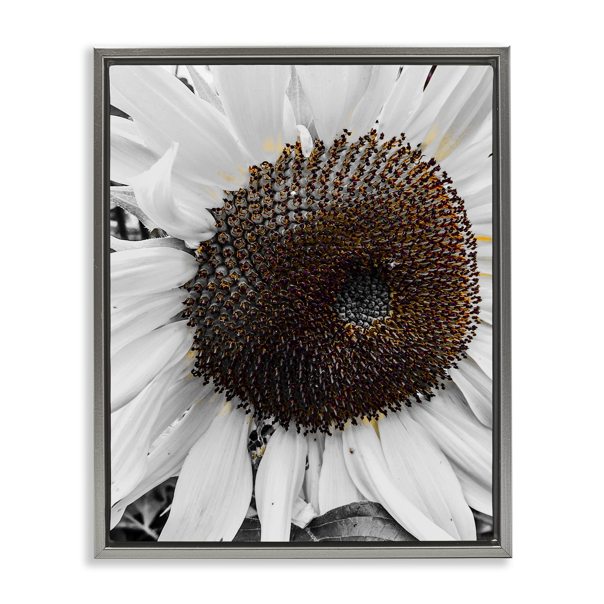 Stupell Industries Flower Pure White Petals Plants & Flowers Photography Gray Floater Framed Canvas Art Print Wall Art, 17 x 21