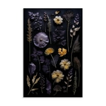 Stupell Industries Flower Specimens on Black Floral Painting Wrapped Canvas Canvas Art Print Wall Art, 16 x 24