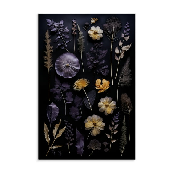 Stupell Industries Flower Specimens on Black Floral Painting Wrapped Canvas Canvas Art Print Wall Art, 16 x 24