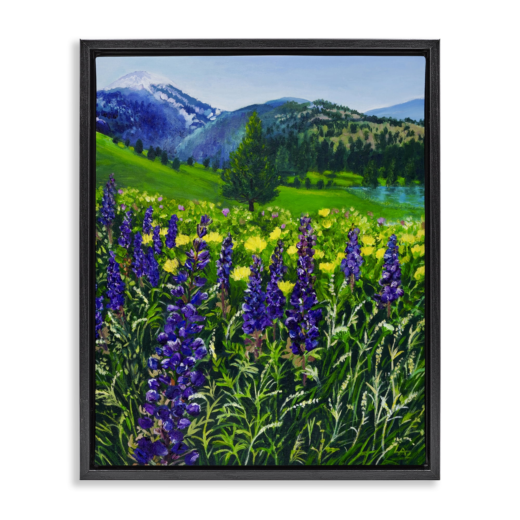 Stupell Industries Flower Speckled Valley Black Framed Floater Canvas Wall Art, design by Lee Ann Zirbes