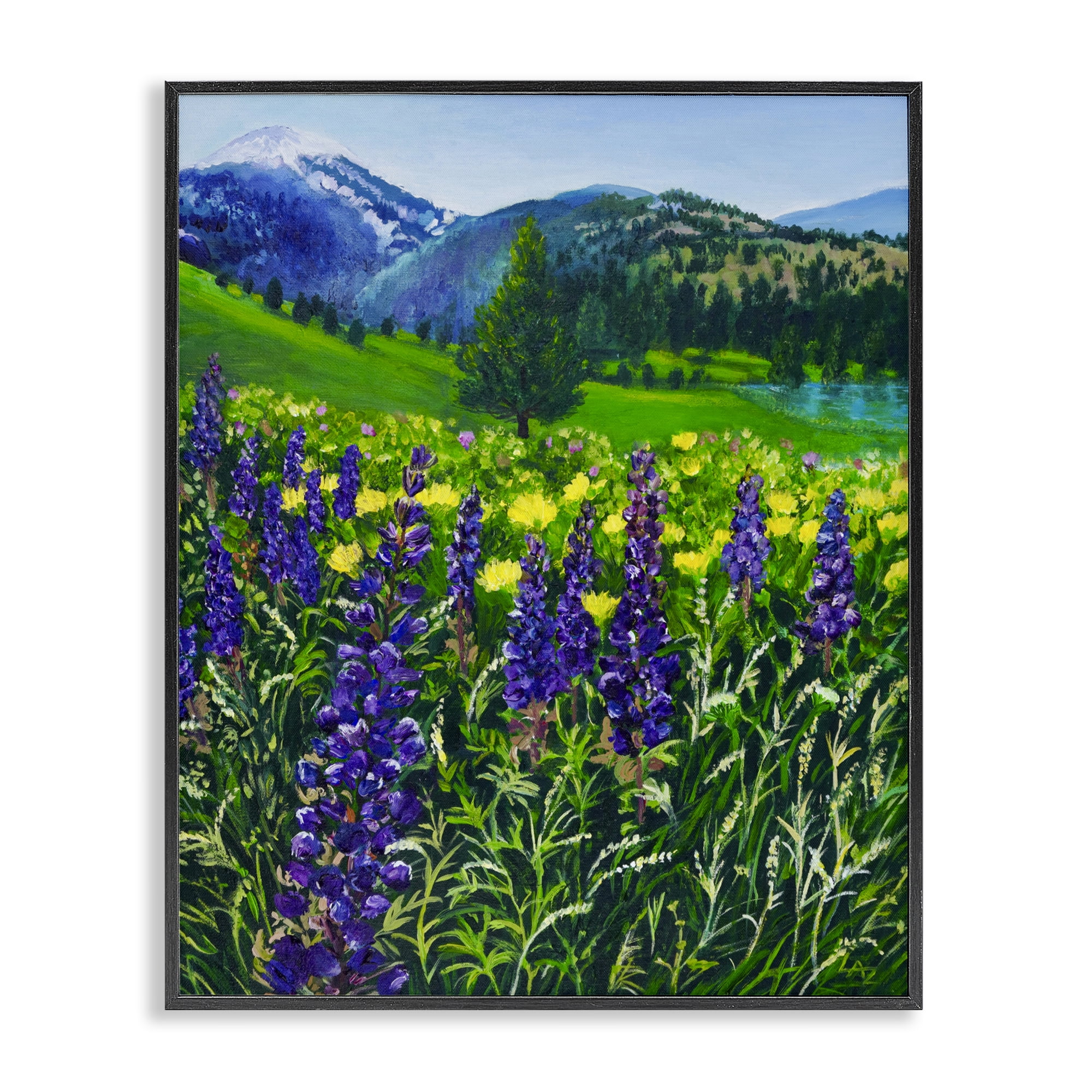 Stupell Industries Flower Speckled Valley Black Framed Giclee Art, design by Lee Ann Zirbes