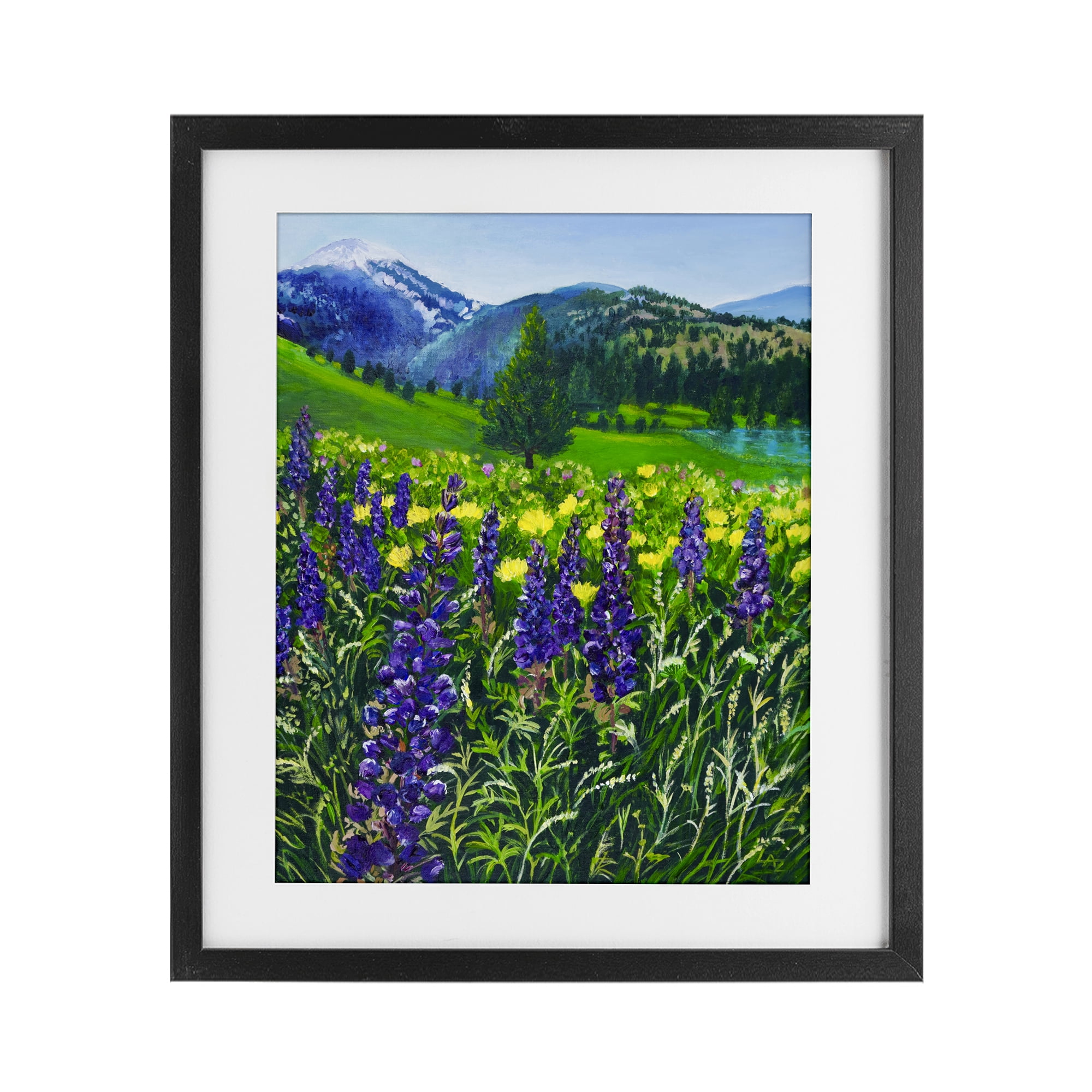 Stupell Industries Flower Speckled Valley Black Framed Print Under Glass, design by Lee Ann Zirbes