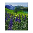 thumbnail image 1 of Stupell Industries French Country Flower Speckled Valley Canvas Art, 16 x 20, by Lee Ann Zirbes, 1 of 8