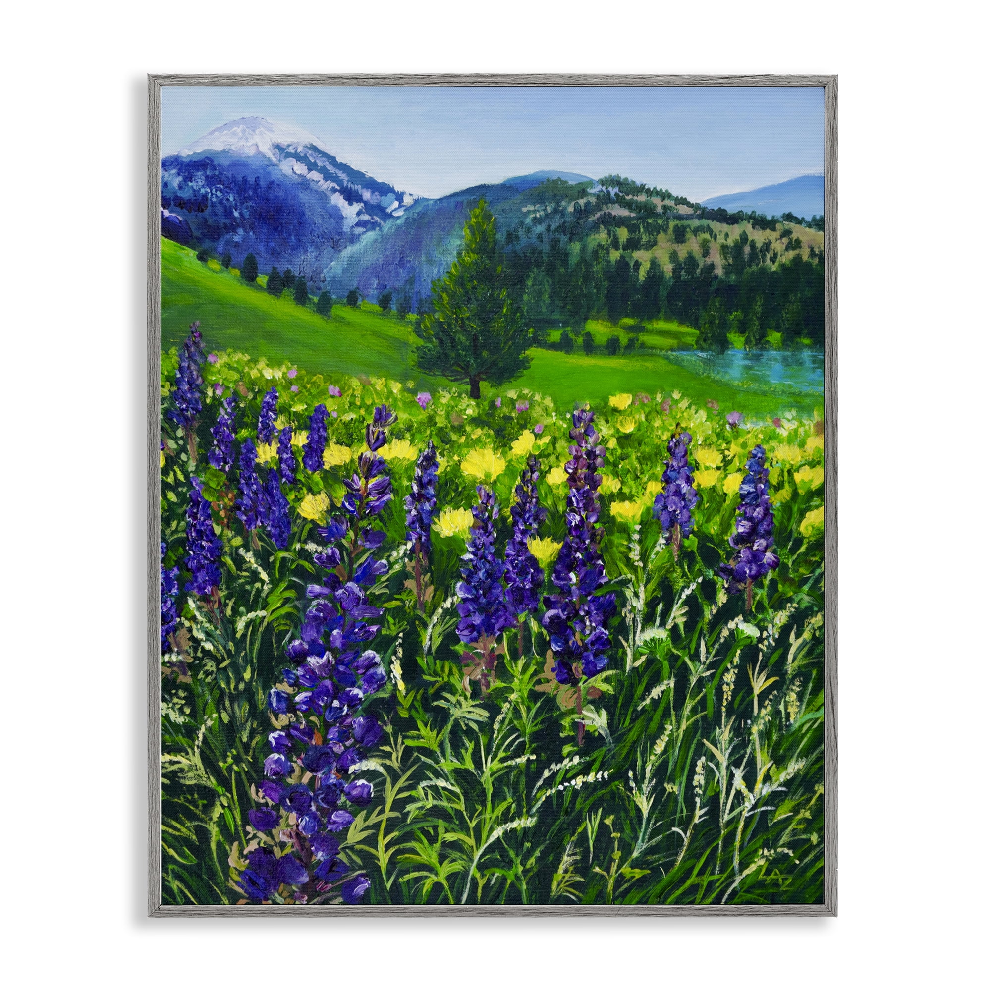 Stupell Industries Flower Speckled Valley Gray Framed Giclee Art, design by Lee Ann Zirbes