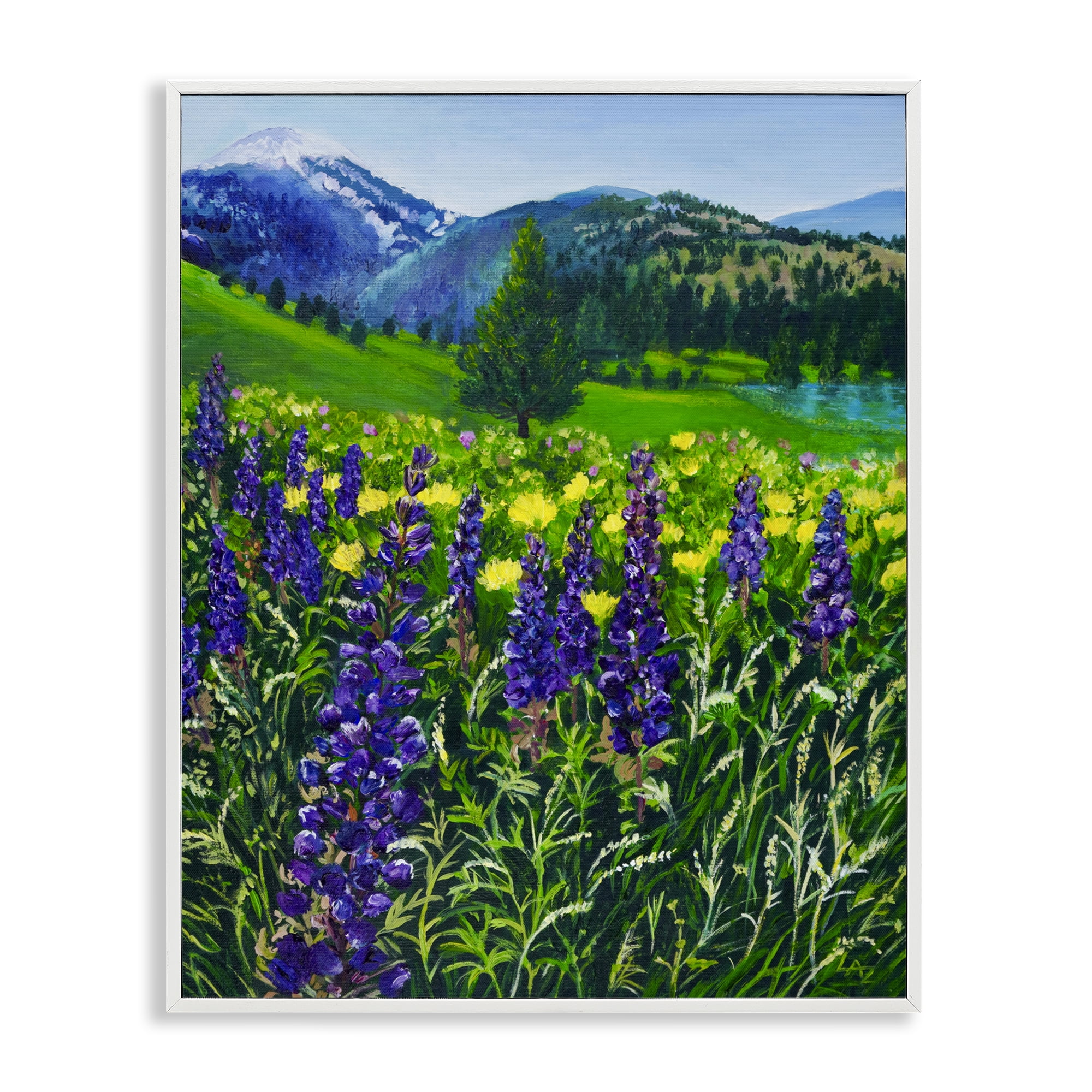 Stupell Industries Flower Speckled Valley White Framed Giclee Art, design by Lee Ann Zirbes