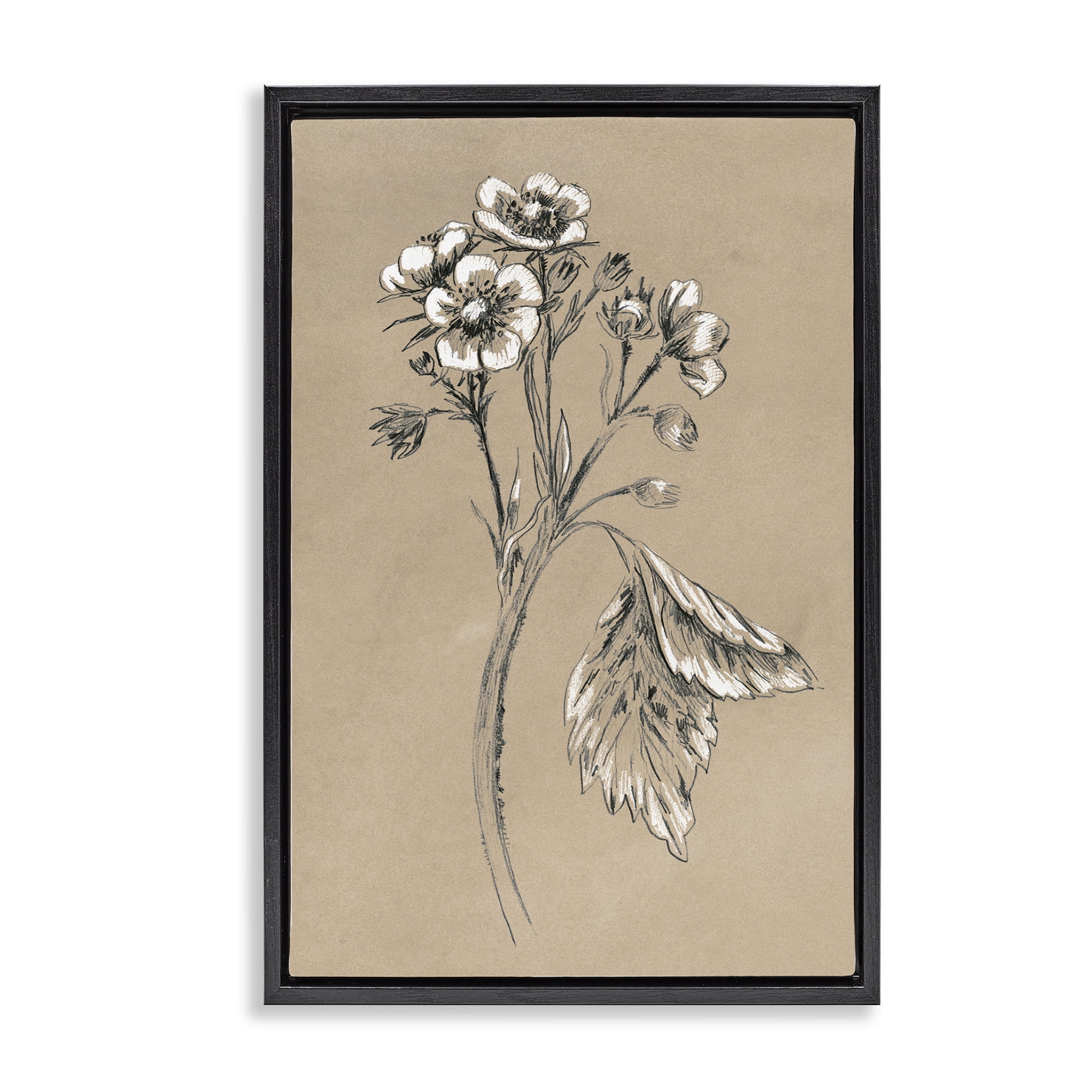 Stupell Industries Flower Sprig Sketch Botanical & Floral Drawing Black Floater Framed Art Print Wall Art, 21 x 31