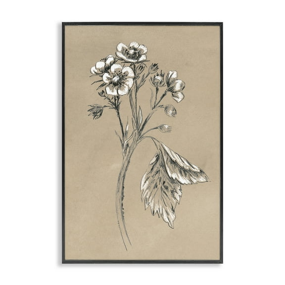 Stupell Industries Flower Sprig Sketch Botanical & Floral Drawing Black Framed Art Print Wall Art, 12 x 18