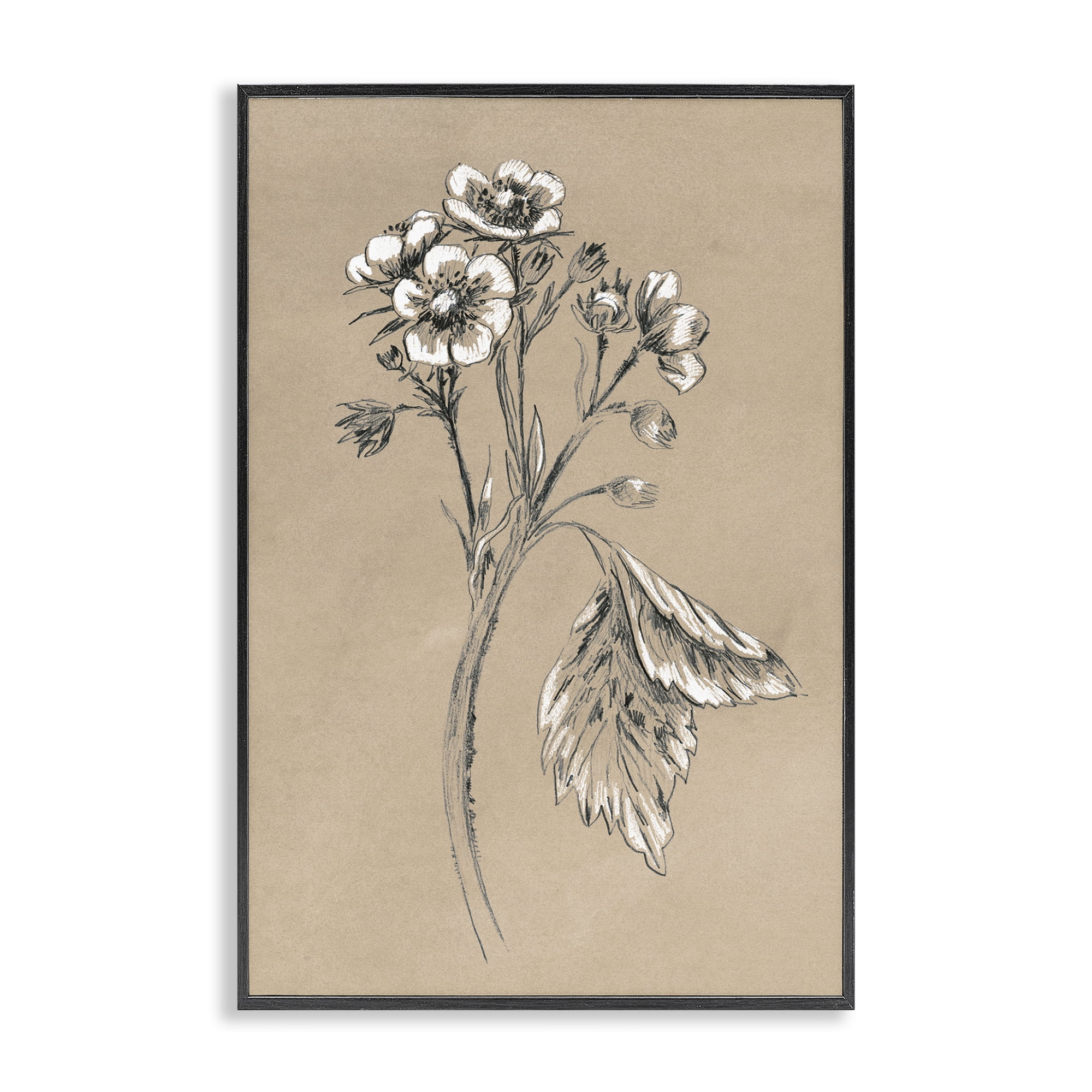 Stupell Industries Flower Sprig Sketch Botanical & Floral Drawing Black Framed Art Print Wall Art, 16 x 24