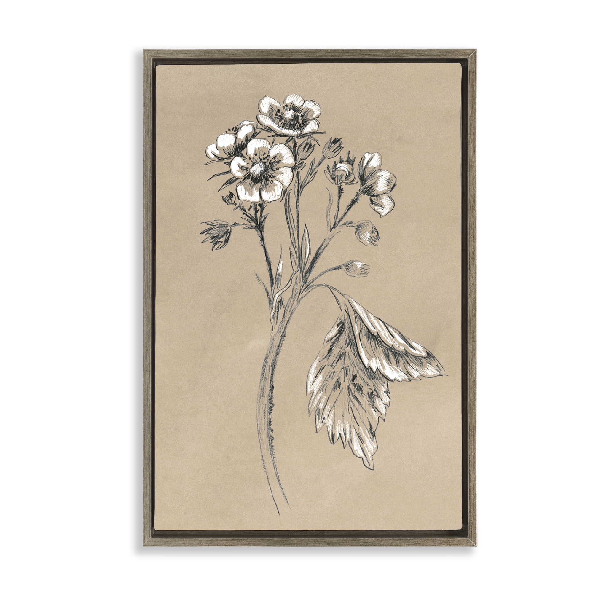 Stupell Industries Flower Sprig Sketch Botanical & Floral Drawing Brown Floater Framed Art Print Wall Art, 17 x 25