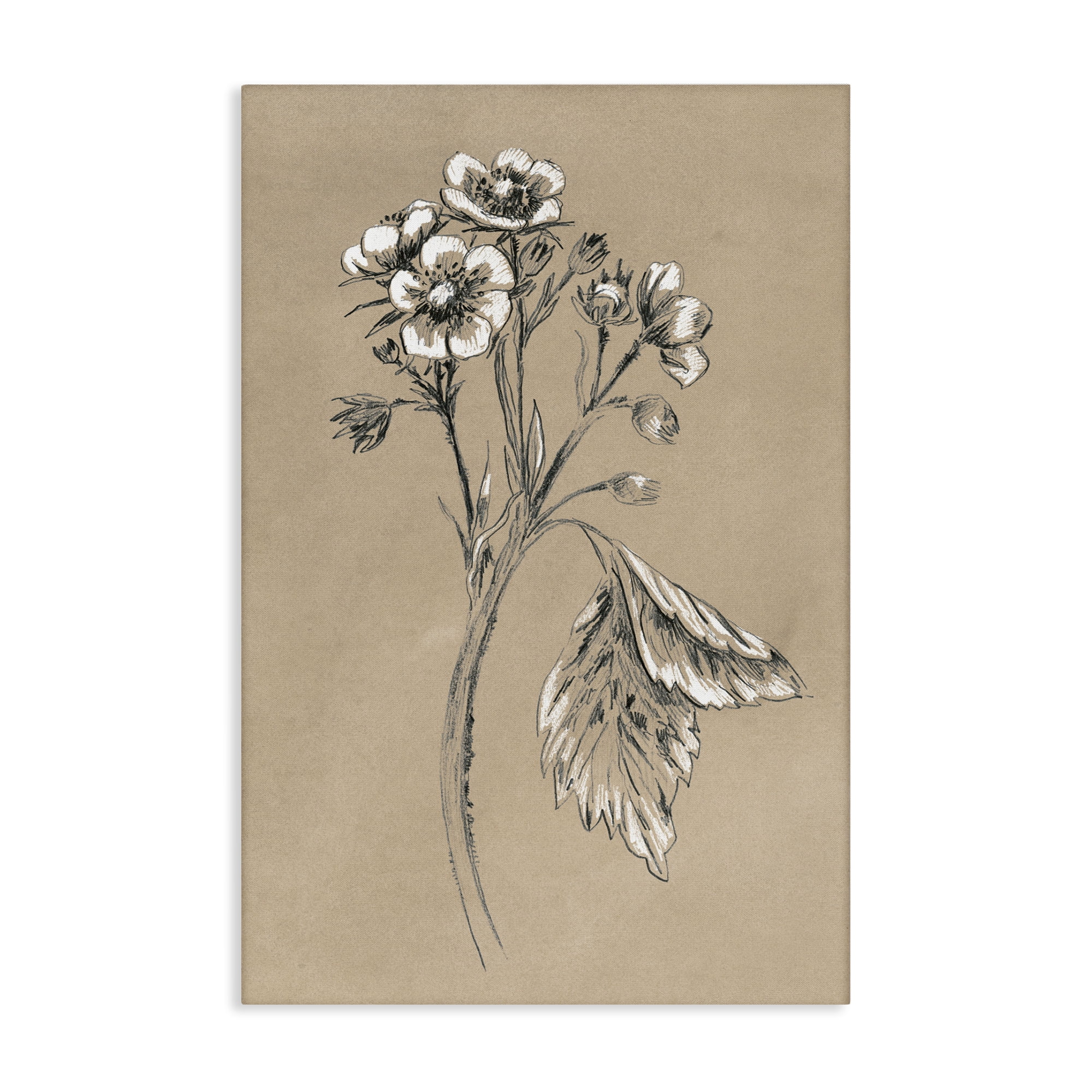 Stupell Industries Flower Sprig Sketch Botanical & Floral Drawing Gallery Wrapped Canvas Art Print Wall Art, 24 x 36