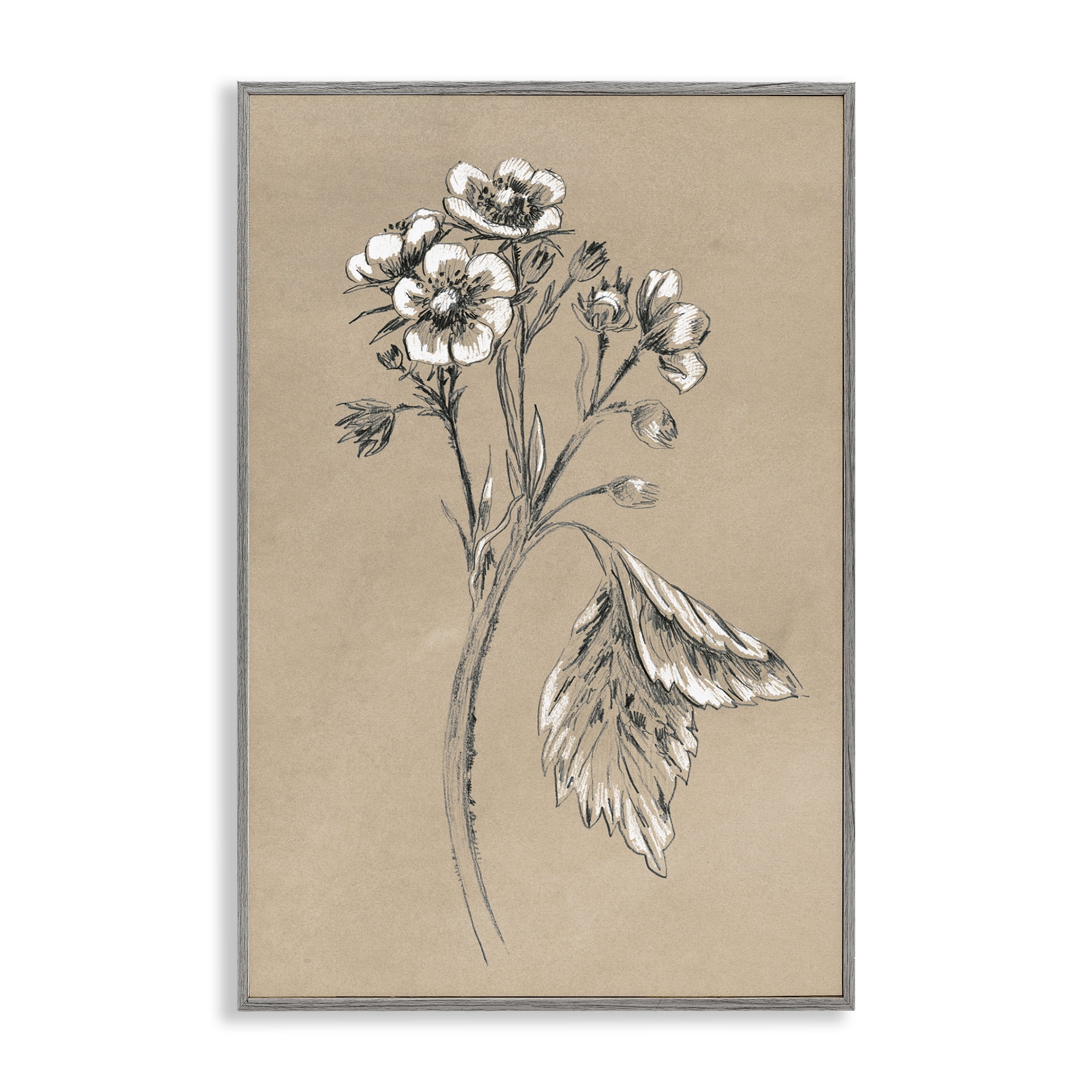 Stupell Industries Flower Sprig Sketch Botanical & Floral Drawing Gray Framed Art Print Wall Art, 12 x 18