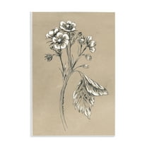 Stupell Industries Flower Sprig Sketch Botanical & Floral Drawing Unframed Art Print Wall Art, 10 x 15