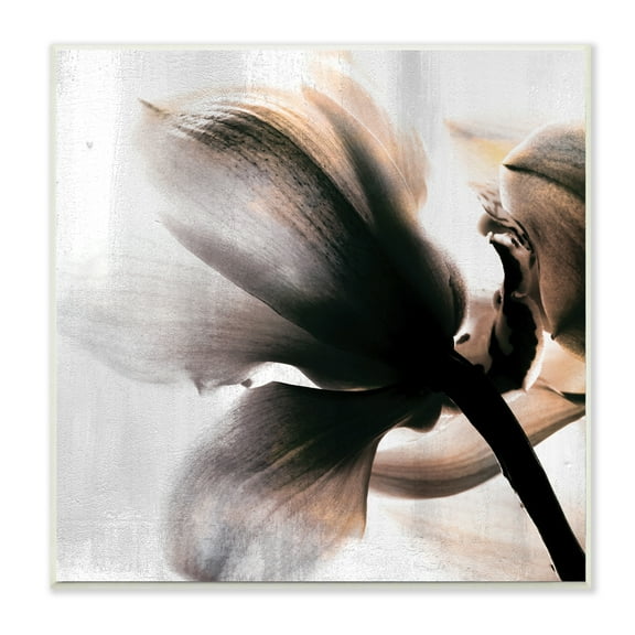 Stupell Industries Flower Stem Silhouette Petals Distressed Background,12 x 12,Designed by Kim Allen