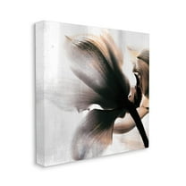 Stupell Industries Flower Stem Silhouette Petals Distressed Background,36 x 36,Designed by Kim Allen