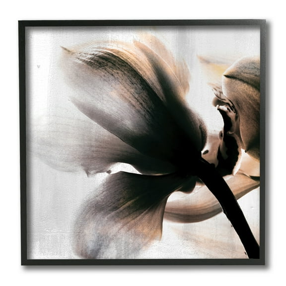 Stupell Industries Flower Stem Silhouette Petals Distressed Background Photography Black Framed Art Print Wall Art, 12x12, by Kim Allen