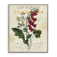 thumbnail image 1 of Stupell Industries Flower over Aged French Page Floral Painting Gray Framed Art Print Wall Art, 11 x 14, 1 of 8