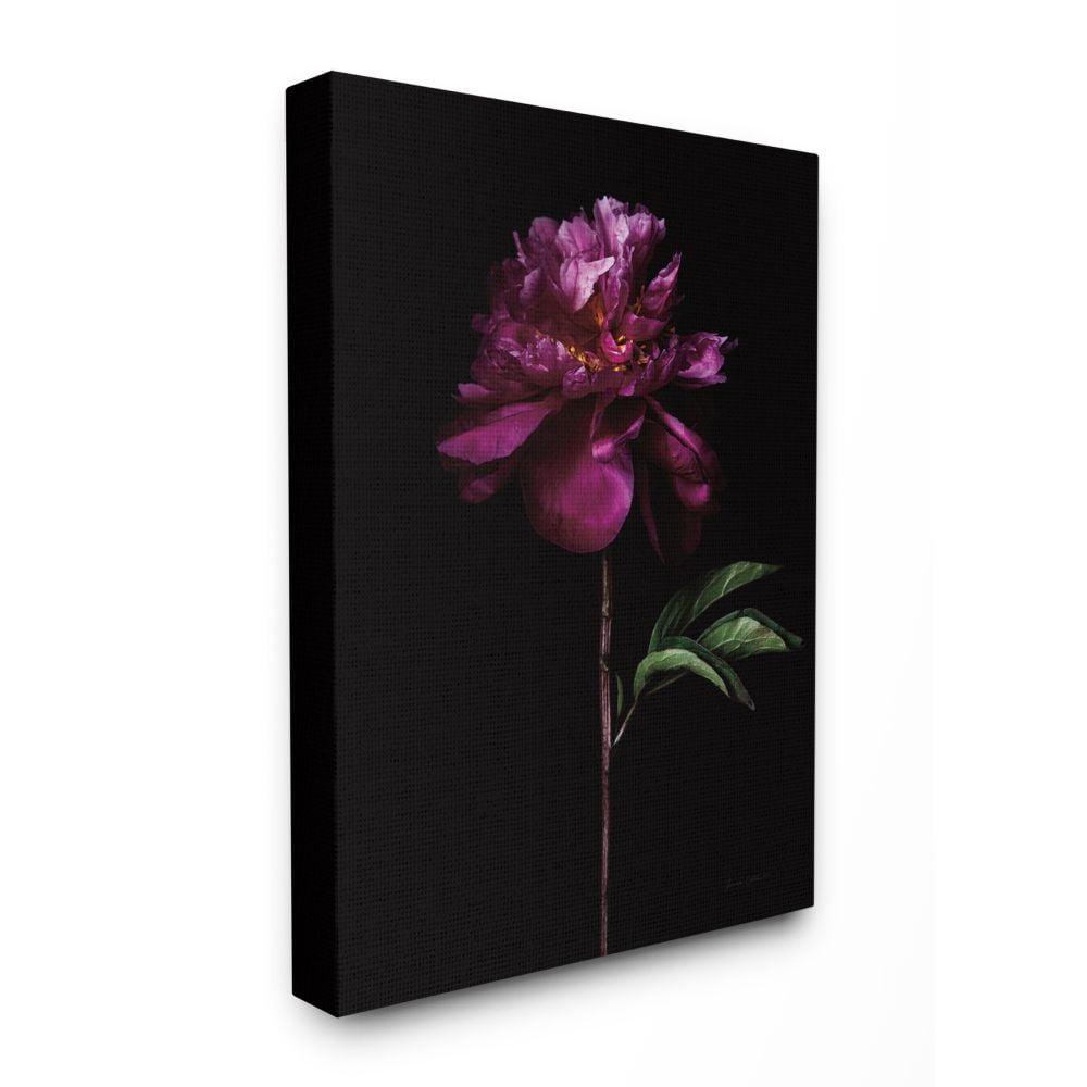 Stupell Industries Flower with Long Stem Black Purple Nature Photograph Canvas Wall Art Design by Elise Catterall, 24" x 30"