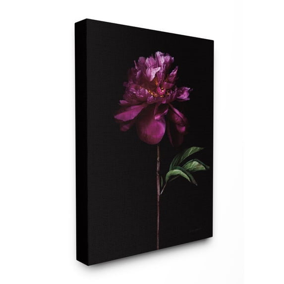 Stupell Industries Flower with Long Stem Black Purple Nature Photograph Canvas Wall Art Design by Elise Catterall, 36" x 48"
