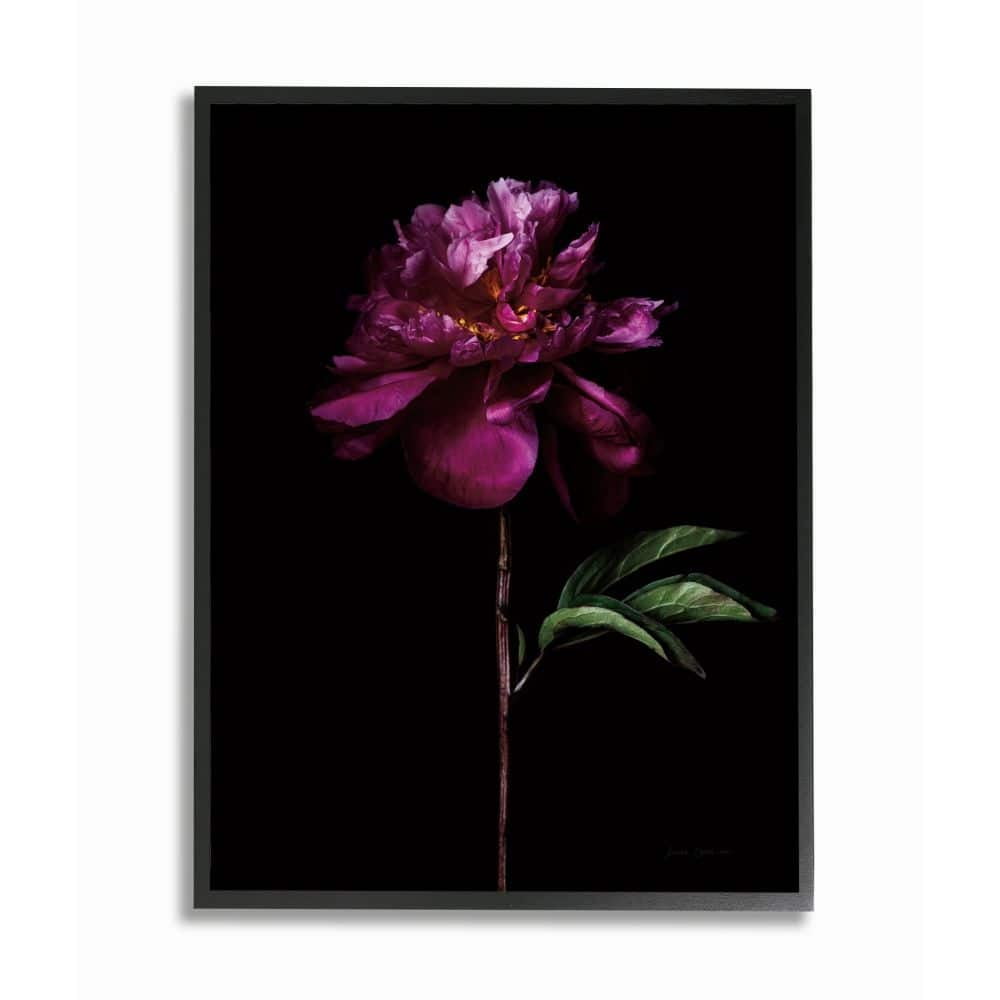 Stupell Industries Flower with Long Stem Black Purple Nature Photograph Framed Wall Art Design by Elise Catterall, 16" x 20", Black Framed