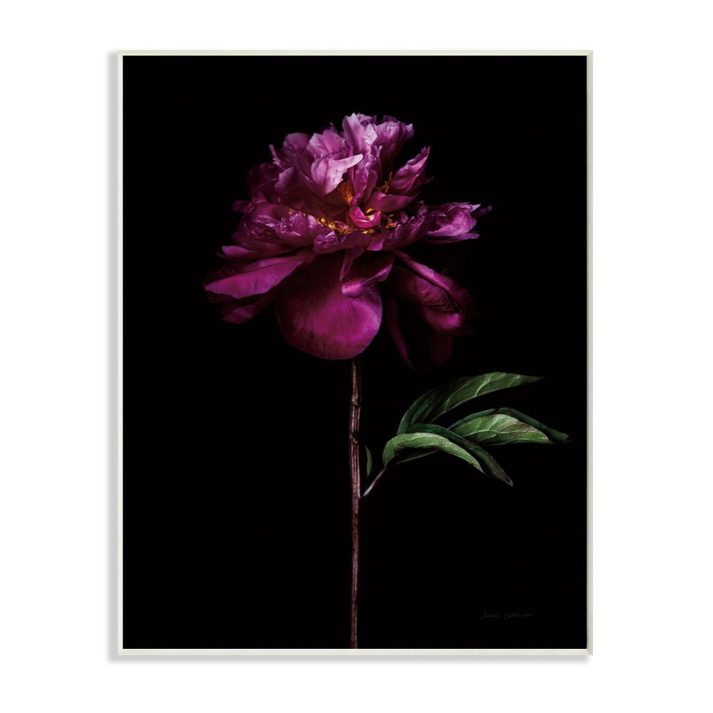 Stupell Industries Flower with Long Stem Black Purple Nature Photograph Unframed Art Print Wall Art, 10x15, by Elise Catterall