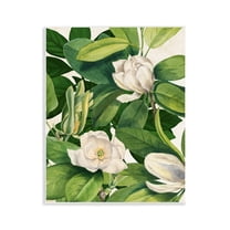 Stupell Industries Flowering White Blossoms Floral Painting Unframed Art Print Wall Art, 11 x 14