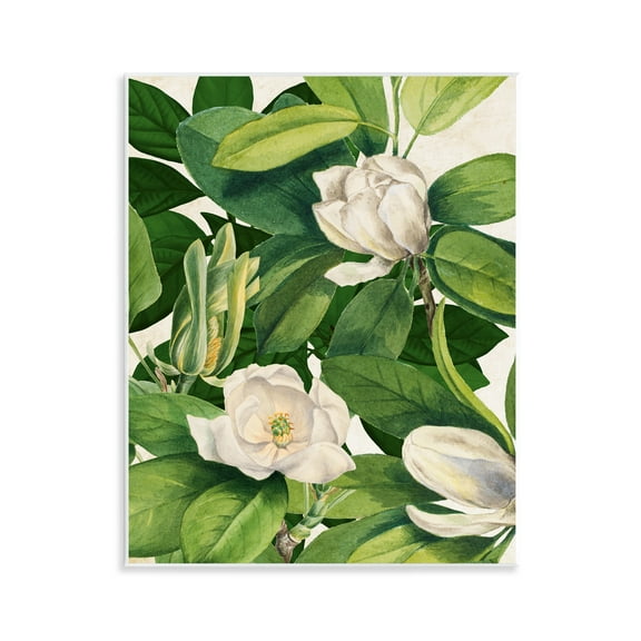 Stupell Industries Flowering White Blossoms Floral Painting Unframed Art Print Wall Art, 11 x 14