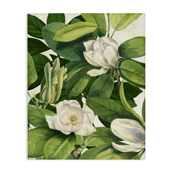 Stupell Industries Flowering White Blossoms Floral Painting Wrapped Canvas Canvas Art Print Wall Art, 16 x 20