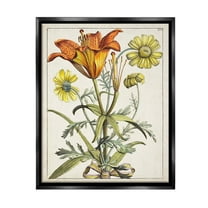Stupell Industries Flowers Latin Study Botanical & Floral Painting Black Floater Framed Canvas Art Print Wall Art, 17 x 21