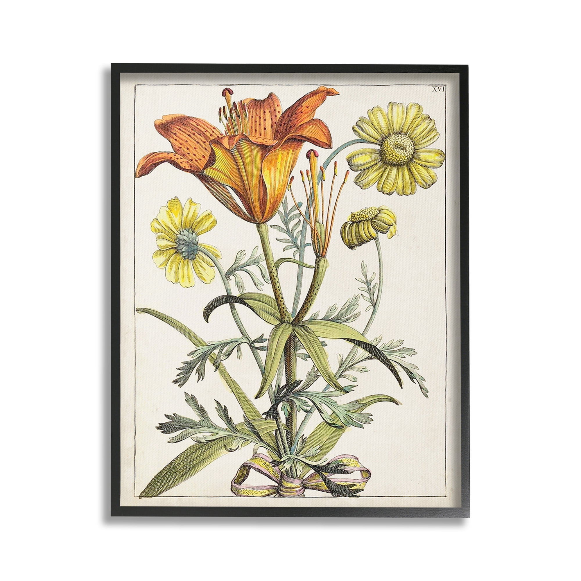 Stupell Industries Flowers Latin Study Botanical & Floral Painting Black Framed Art Print Wall Art, 24 x 30
