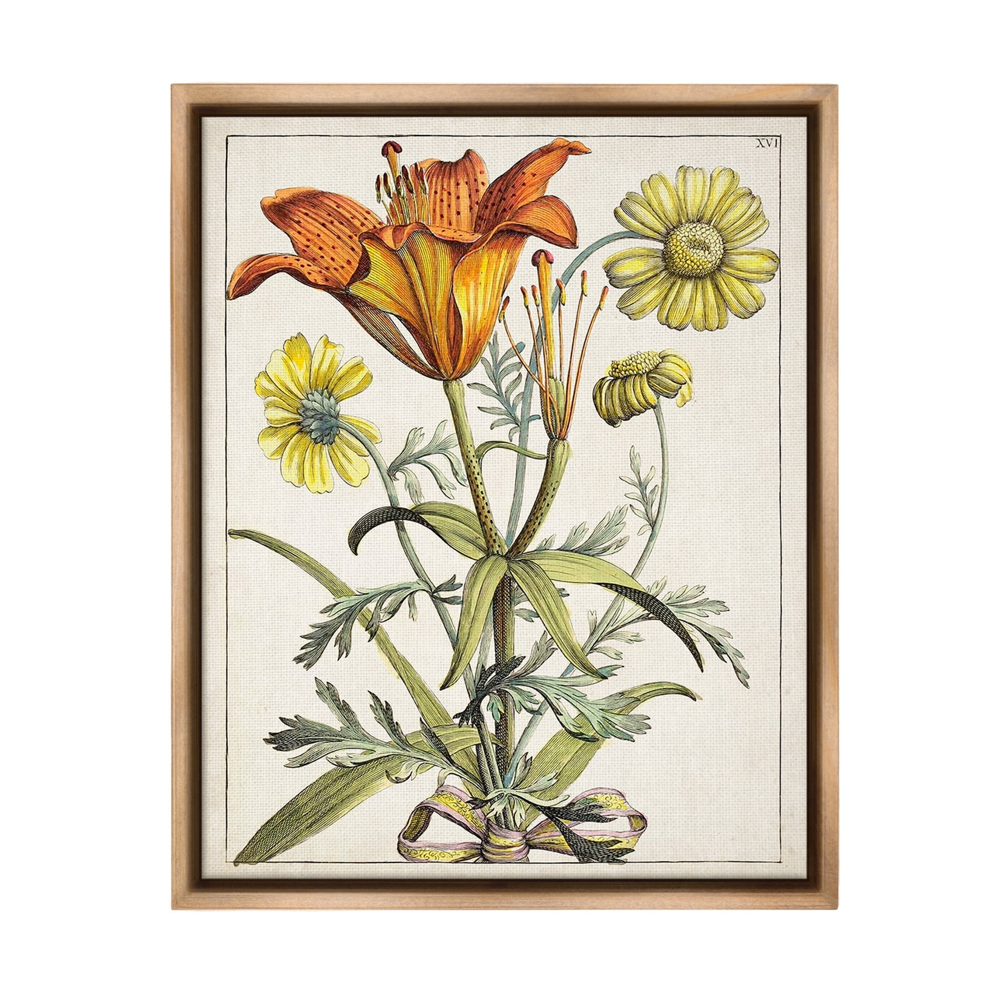 Stupell Industries Flowers Latin Study Botanical & Floral Painting Brown Floater Framed Canvas Art Print Wall Art, 17 x 21