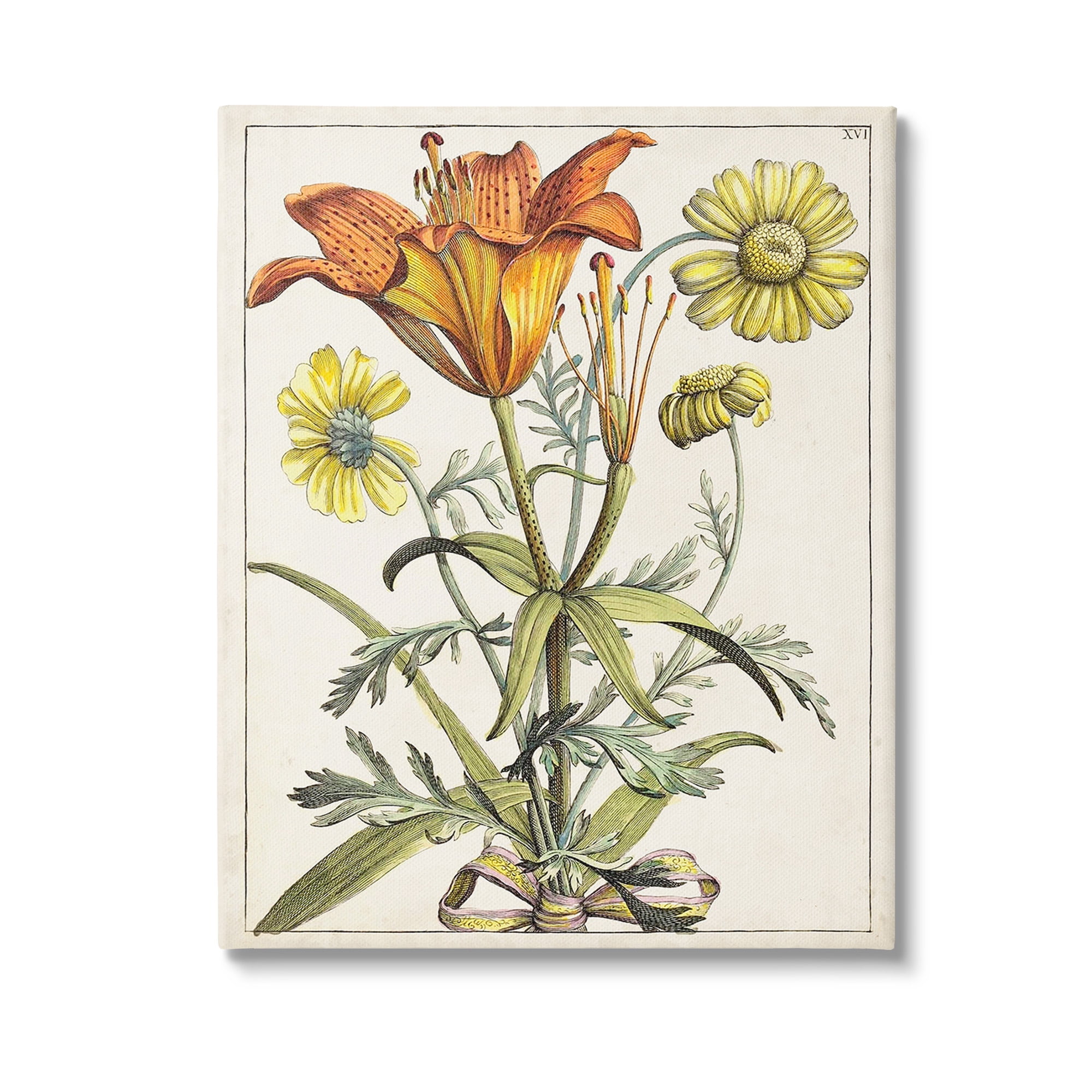 Stupell Industries Flowers Latin Study Botanical & Floral Painting Gallery Wrapped Canvas Art Print Wall Art, 30 x 40