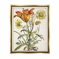 thumbnail image 1 of Stupell Industries Flowers Latin Study Botanical & Floral Painting Gold Floater Framed Canvas Art Print Wall Art, 25 x 31, 1 of 10
