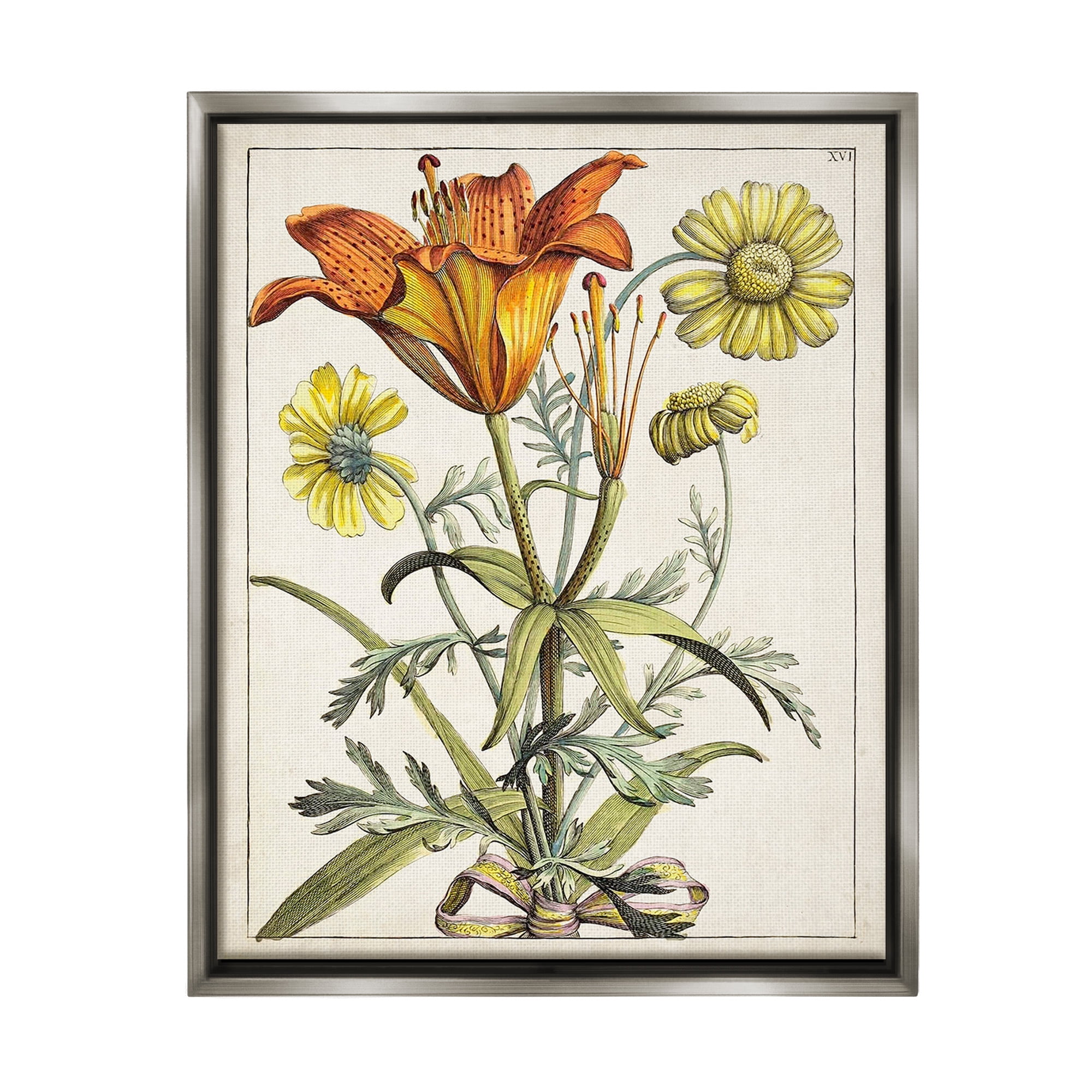 Stupell Industries Flowers Latin Study Botanical & Floral Painting Gray Floater Framed Canvas Art Print Wall Art, 17 x 21
